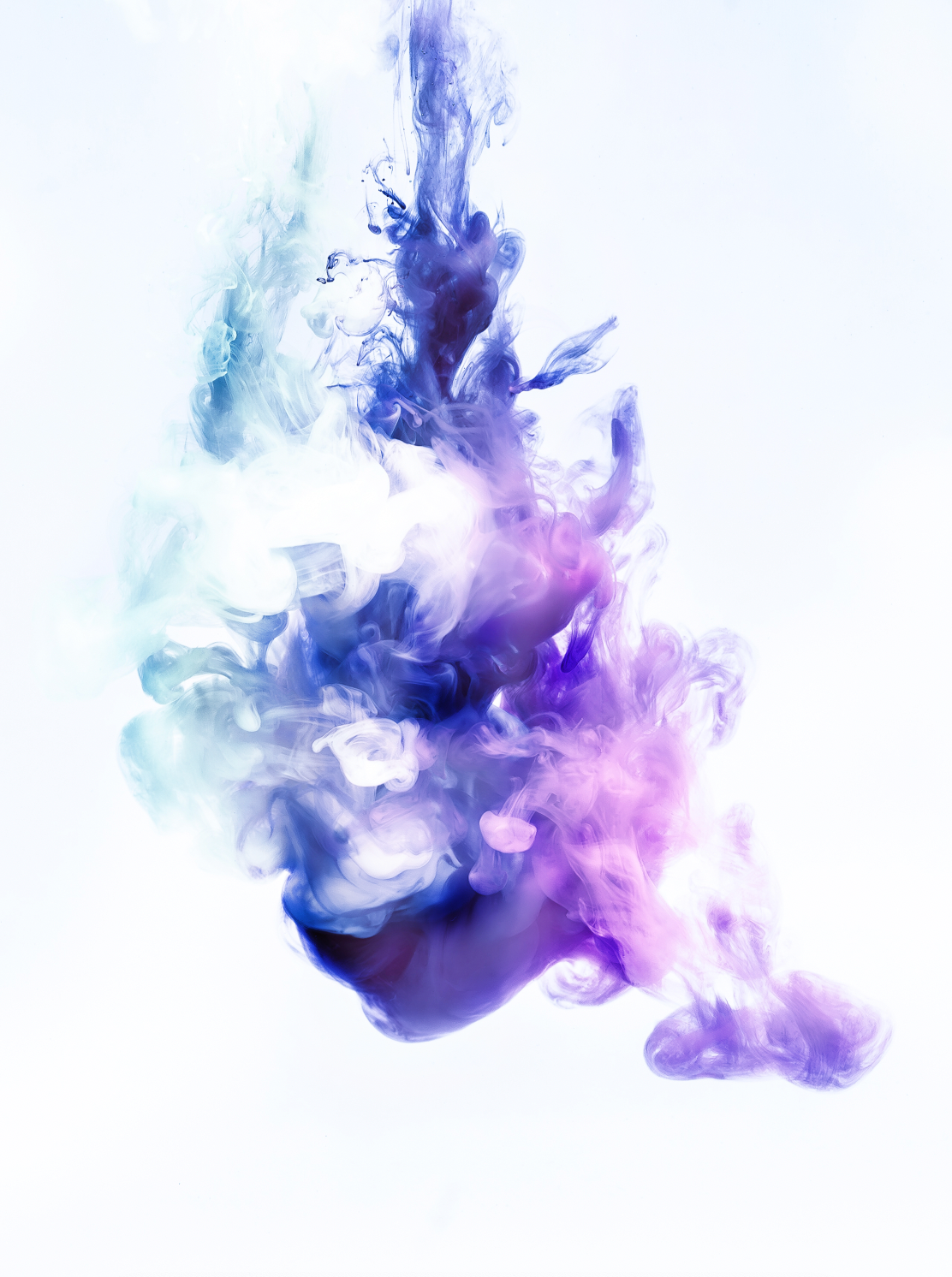Abstract artwork depicting the essence of a horse's heart against a white minimalist backdrop, emphasizing fluid lines, movement, and elegance. A harmonious blend of serene blue and regal purple colors invites contemplation, captivating viewers with its beauty.