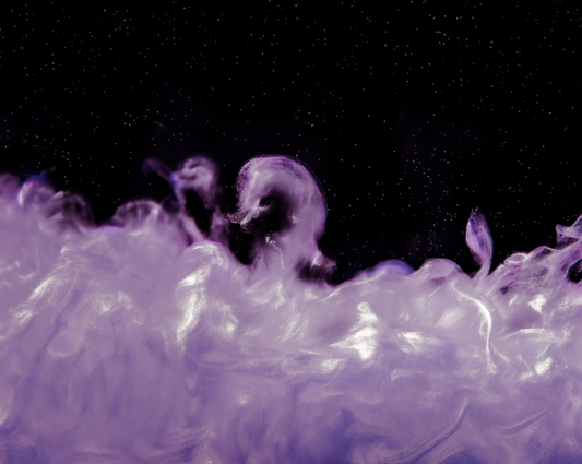 Cisne Violeta
